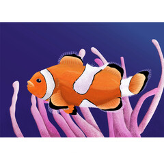 Clown Fish with corals drawing - digital art