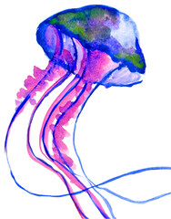 Hand-painted, realistic watercolor design of a vibrant blue and purple jellyfish, floating gently. Isolated, flat painting, clipped from background and placed into an Adobe Illustrator file for use.