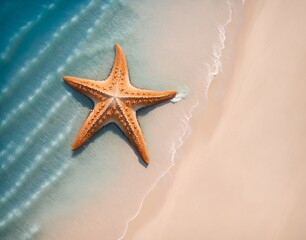 Fototapeta na wymiar Starfish on the summer beach, top view