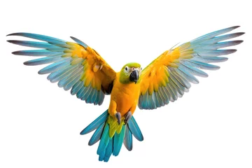 Fotobehang Flying parrot on white background © Veniamin Kraskov