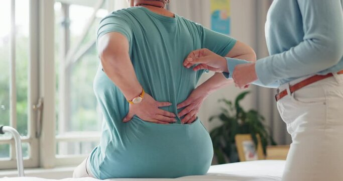 Physiotherapy, patient hands and back pain for support, healthcare service and physical therapy in clinic office. Physiotherapist, chiropractor or doctor with person muscle, massage and consultation
