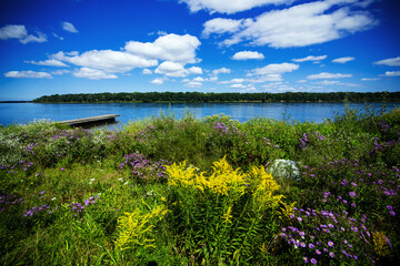 Flowers and Small dock on Niagara River in Ontario, Canada