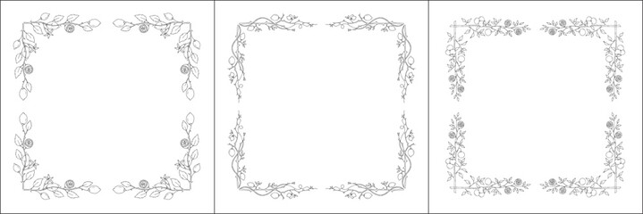 Set of three vector frames with citrus trees. Elegant black and white monochrome ornamental corners. Vector frame for all sizes and formats. Isolated vector illustration.