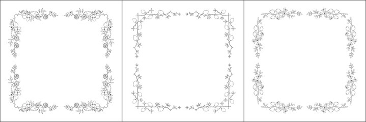 Set of three vector frames with citrus trees. Elegant black and white monochrome ornamental corners. Vector frame for all sizes and formats. Isolated vector illustration.
