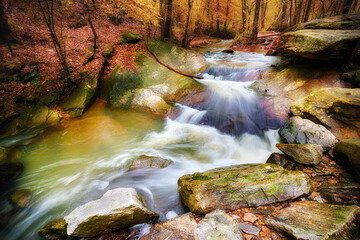 Water flowing over rocks of stream in forest