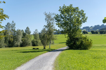 winding gravel road on shore at Rottachsee Alpine lake, Petersthal,  Germany