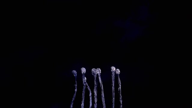 Many Burnt Black Charred Matches Stand in Blue Smoke on a Black Background. Empty Space. Burnt Matchsticks. Texture. A row of matches, burning sulfur heads. Blurred motion. Macro. Slow motion. End.