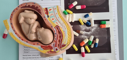Fetus on ultrasound medical tablet and fetal anatomy