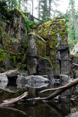 Mossy cliff in the wilderness