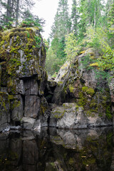 Mossy cliff in the wilderness