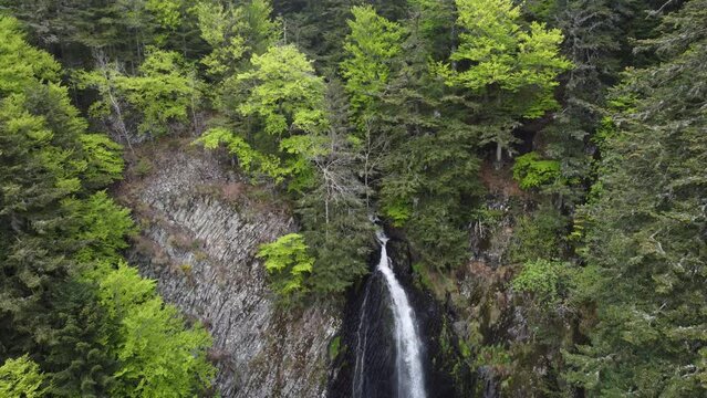 Une &Eacute;chapp&eacute;e Naturelle : Plongez au C&oelig;ur de la S&eacute;r&eacute;nit&eacute; avec cette Vid&eacute;o Relaxante d'une Cascadinge Majestueuse au Milieu d'une For&ecirc;t Lush et Verdoyante, Id&eacute;ale pour la M&eacute;ditation et la Relaxation