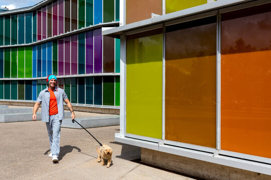Stroll with dog by colorful structure