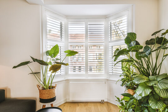 Living room with houseplants by bay window