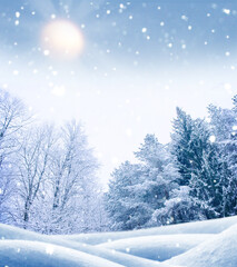 Landscape. Frozen winter forest with snow covered trees.