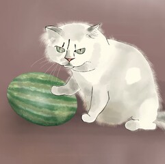 Cat with watermelon. Illustration angry cat put paw on watermelon