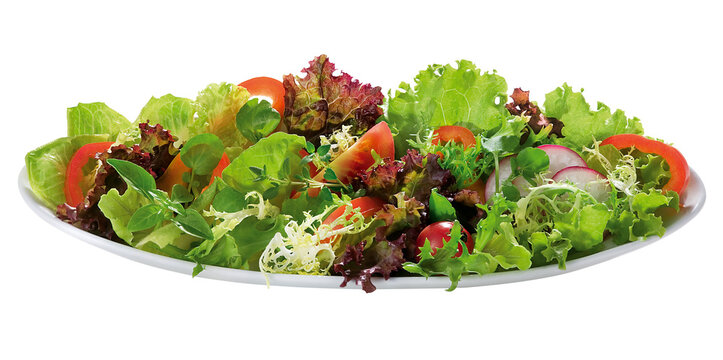 prato com salada de alface, agri&atilde;o, r&uacute;cula, manjerona, acelga, espinafre, rabanete e tomates frescos isolado em fundo transparente - salada de folhas verdes frescas 