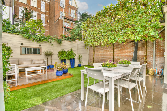 Backyard with furniture and plants in garden