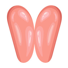 chicken fillet illustration vector food