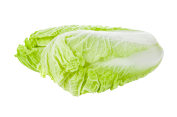 Fresh napa (chinese) cabbage transparent png