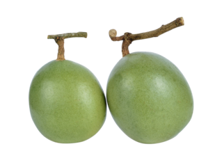 Aegle marmelos and bael fruit transparent png