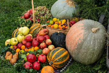 Autumnal produce assortment with fruits and pumpkins on the grass.