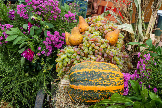 Fruit and pumpkin with hay display on grass.