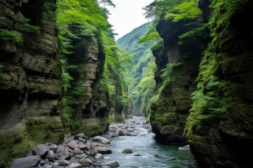 Obraz premium A beautiful canyon.