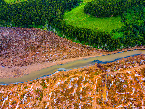 Forest meets deforested land showing an aerial contrast