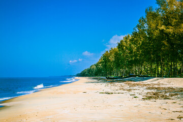 beach with trees and sky