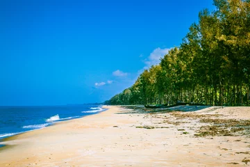 beach with trees and sky © Jebakumar Santhosam