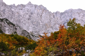 View of Triglav north wall above Vrata valley in Julian alps, Gorenjska, Slovenia with trees in...