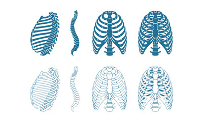 set of rib cage logo vector icon - obrazy, fototapety, plakaty