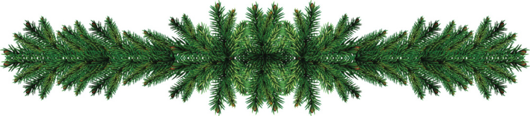 green pine tree leaves or christmas wreath border isolated on white or transparent png - obrazy, fototapety, plakaty