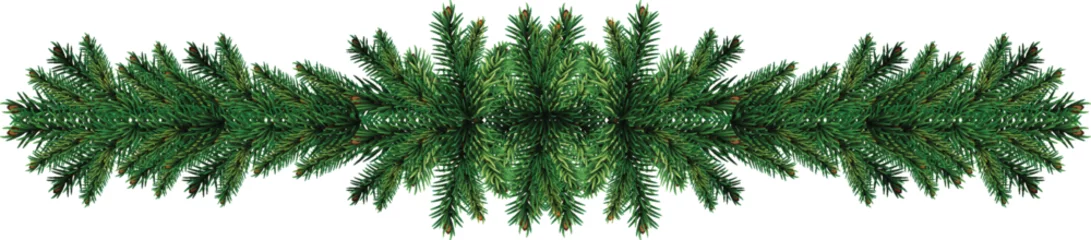 Foto op Plexiglas green pine tree leaves or christmas wreath border isolated on white or transparent png © BHASKAR