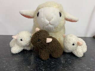 Obraz premium Teddy Collection 12, Mother sheep + 3 lambs