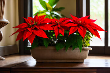 Digital photo of a bright red poinsettia and the verdant green foliage surrounding it, as it basks in the soft light of an indoor plant stand. Wildlife concept of ecological environment