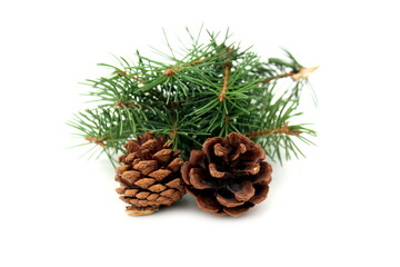  Two cones with fir branches lie on a white background.