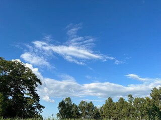 sky and clouds