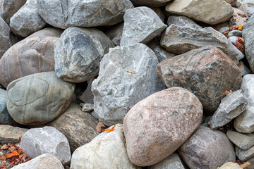 leaf on a pile of landscaping stones