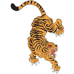 tiger Illustration