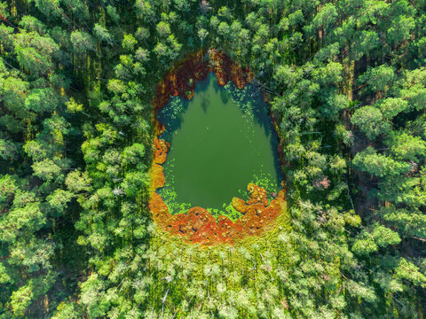 Aerial view of a lake in the forests of Lithuania, wild nature. The name of the lake is "Linukas", Varena district, Europe.
