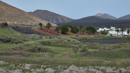 View of volcanic mountains and Palm Trees at Yaiza, Lanzarote, Canary Islands, Spain