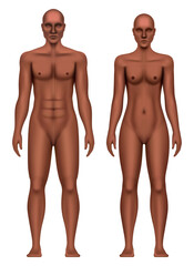 Black man and woman anatomical body realistic vector illustration isolated on a white background.