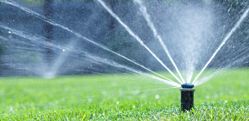 Irrigation system in home garden. Automatic watering lush green lawn. Selective focus