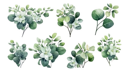 Vector elements set collection of tropical green eucalyptus in Watercolor style. Illustration for cosmetics, spa, beauty care products, Wedding Invitation, save the date, thank you, greeting card. - obrazy, fototapety, plakaty