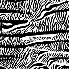 Illustration zebra texture, zebra skin, animal pattern.