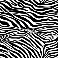 Illustration zebra texture, zebra skin, animal pattern.