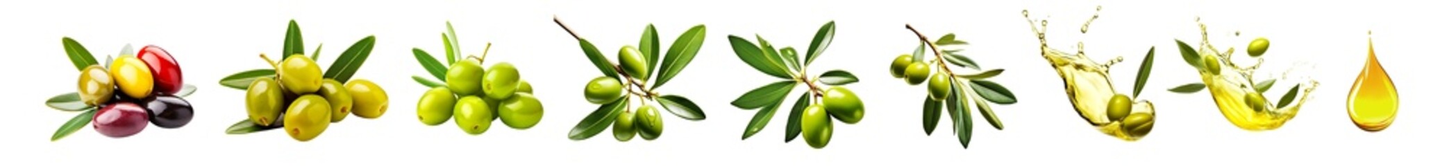 Set of Olive branches isolated cutout on transparent background. Splash of olive oil - obrazy, fototapety, plakaty