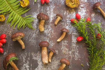 mushrooms and fern on a table