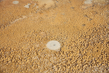 cones of mud volcanoes from which rivers of mud flow